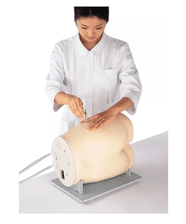 Simulator für gluteale intramuskuläre Injektion - Erler - Zimmer